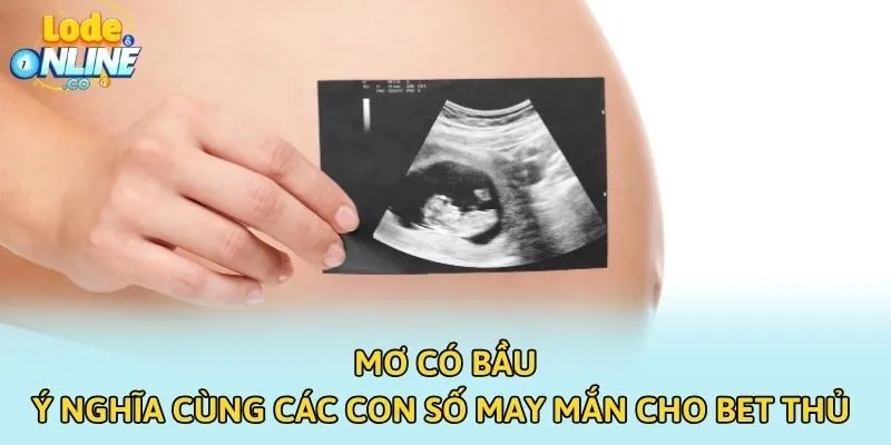 Mơ Có Bầu - Ý Nghĩa Cùng Các Con Số May Mắn Cho Bet Thủ 